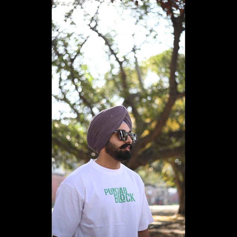 Punjab Block (No Majha No Malwa) - Image 6